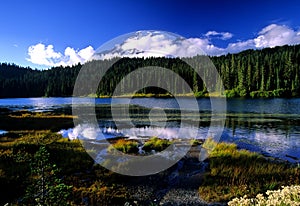 Afternoon at Reflection Lake