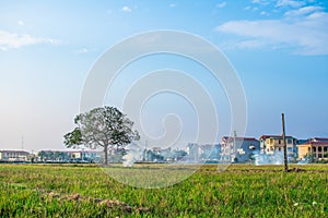 Afternoon scene in the suburbs of Ha Noi