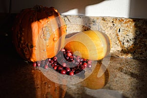 Afternoon shadows cranberries pumpkin squash autumn harvest