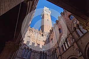 Afternoon Siena Mangia tower