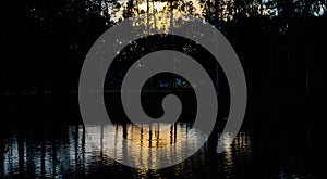 Afternoon sunlight reflection in lake water unique photo