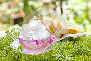 Afternoon tea breake, rose tea with tea pot