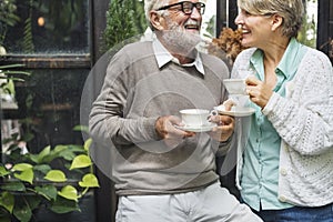 Afternoon Tea Leisure Casual Elderly Older Concept