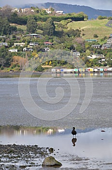 Afternoon view of Akaroa town in New Zealand.