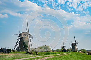 Afternoon view of the famous Kinderdijk winmill village