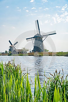 Afternoon view of the famous Kinderdijk winmill village photo