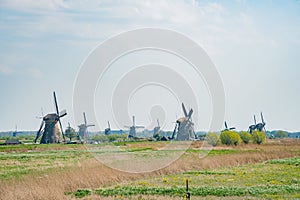 Afternoon view of the famous Kinderdijk winmill village photo