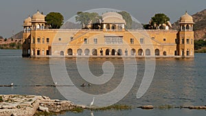 Afternoon view of jal mahal palace with an egret on the shore at jaipur