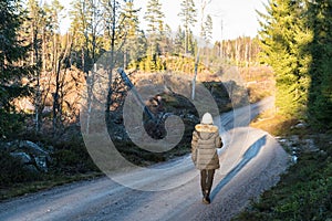 Afternoon walk in the forest