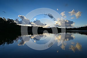 Afternoon winter cloudscape over Paurotis Pond in Everglades National Park.