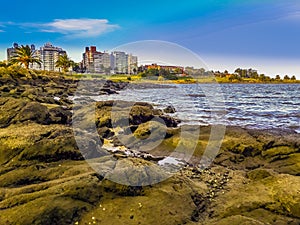 Buceo Beach, Montevideo, Uruguay photo