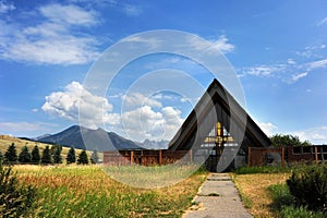 Against a Backdrop of the Absaroka Mountains photo