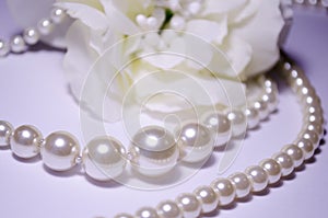 Against the background of a flower. White pearl jewelry. Luxury jewelry for women and girls. Pearl necklace. Artificial pearls