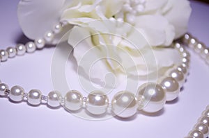 Against the background of a flower. White pearl jewelry. Luxury jewelry for women and girls. Pearl necklace. Artificial pearls