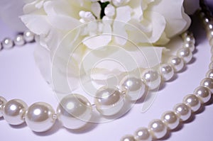 Against the background of a flower. White pearl jewelry. Luxury jewelry for women and girls. Pearl necklace. Artificial pearls