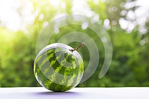 Against a background of green bokeh trees on a dark table is a round watermelon with a tail