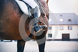 Against the background of the stable, a rider in black boots with spurs rides a Bay sports racehorse. Stirrup