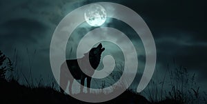 Against a dark night sky a lone wolf howls its silhouette lit by the full moon above.