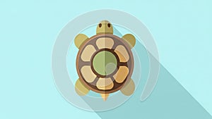 Against a light blue background. The turtle features a symmetrical