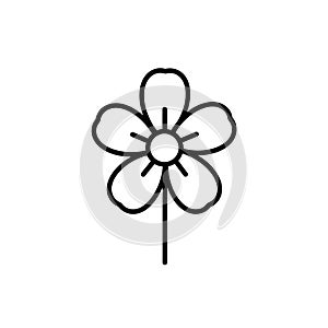 Against a plain white background, emphasizing the flower s basic