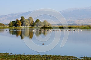 Agamon Hula bird refuge