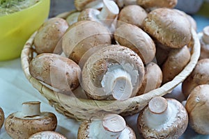 Agaricus bisporus - Fresh raw mushroom champignon wicker baskett