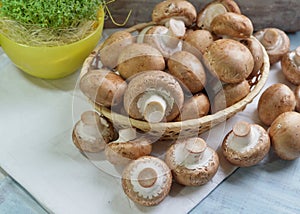 Agaricus bisporus - Fresh raw mushroom champignon wicker baskett