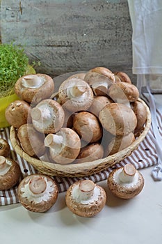 Agaricus bisporus - Fresh raw mushroom champignon wicker baskett