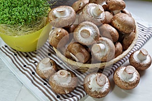 Agaricus bisporus - Fresh raw mushroom champignon wicker baskett