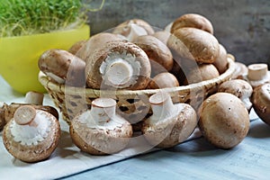 Agaricus bisporus - Fresh raw mushroom champignon wicker baskett