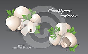 Agaricus campestris with parsley