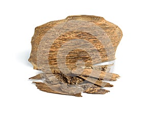 Agarwood, aloeswood, eaglewood or gharuwood. Piece of wood and shavings. Isolated