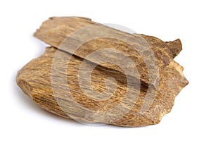 Agarwood, also called aloeswood oudh, isolated on white background