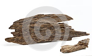 Agarwood, soild piece of oudh, isolated on white background.