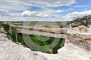 Agate Bridge - Petrified Forest National Park