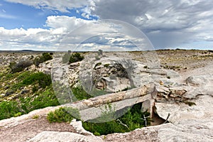 Agate Bridge - Petrified Forest National Park