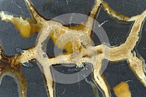 Agate (mineral) pattern