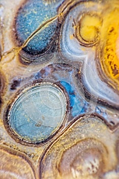 Agate motley close up