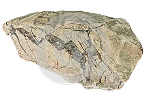 Agate from Oberthal, Germany