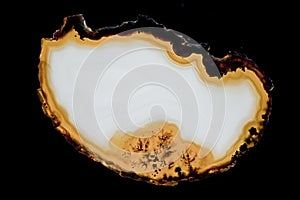 Agate slice