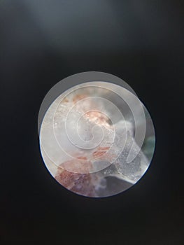 Agate stone under a microscope.