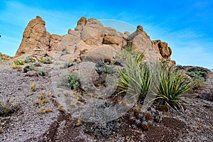 Agava, Echinocereus - Desert landscape with cacti, Mountain erosion formations of red mountain sandstones, Arizona