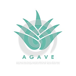 Agave cactus icon