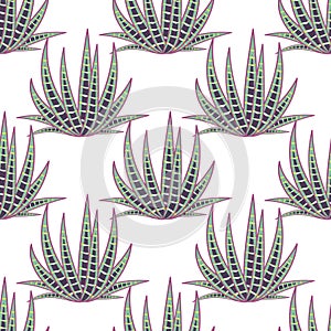 Agave succulent desert seamless pattern.