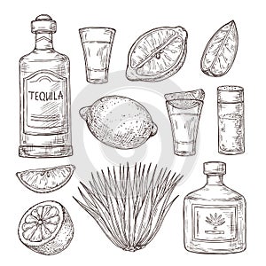 Agave tequila sketch. Vintage glass shot, bar ingredients and plant. Isolated drawing alcohol bottle, salt lemon or lime