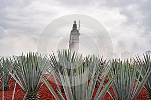 The agaves at La Minerva in the City of Guadalajara Jalisco Mexico. photo