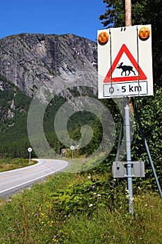 Agder Norway road moose warning photo