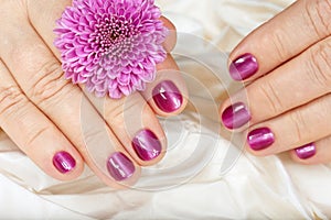 Age manicure for senior woman. Hands with pink nails.