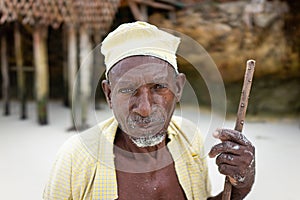 Aged African shepard walking on the beach