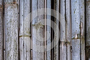 Aged Bamboo wall with texture